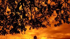Sunset clouds nature Trees