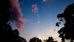 Sunset clouds nature Trees