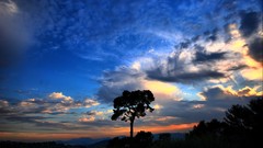 Sunset clouds nature Trees