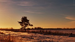 Sunset clouds Rural skies