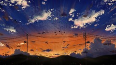 Sunset clouds sky Birds scenic power lines