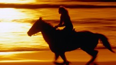 Sunset coast California ride