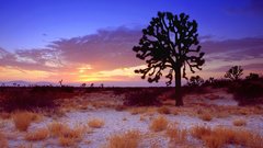 Sunset deserts Mojave Desert
