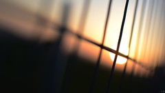 Sunset fences