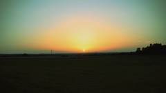Sunset fields rastenfeld