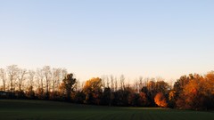 Sunset fields skies forests
