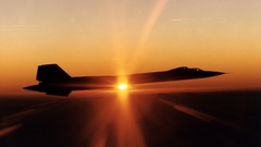 Sunset flight pretty