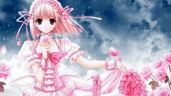 Sunset Flowers clouds magic Birds roses Anime dress pink 