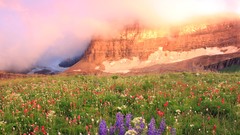 Sunset Flowers grass Mountains clouds plains