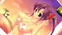 Sunset Flowers Stars Anime Islands palm trees Beaches anime 