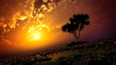 Sunset Flowers Trees grass water clouds sky digital art scenic