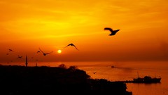 Sunset fly sun clouds skies the sun