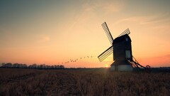 sunset flying windmill Birds landscape sunlight