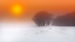 Sunset fog nature snow