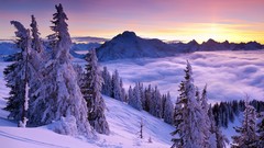 Sunset fog snow winter view purple