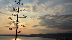 Sunset France promenade des anglais south east