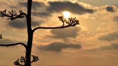 Sunset France promenade des anglais south east