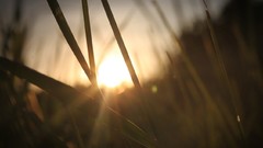 Sunset glass blurred