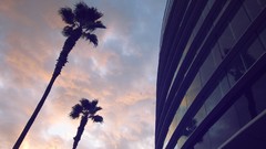 Sunset glass modern palm trees architecture reflections 