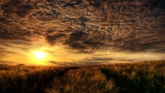 Sunset grass clouds fields