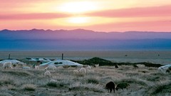 Sunset grass sun clouds highlands skies