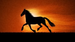 Sunset Horses artwork