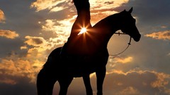 Sunset Horses evening