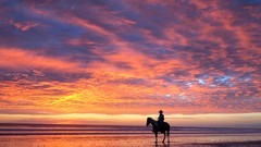Sunset Horses rider shore Cowboys