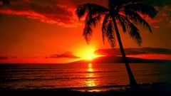 Sunset Islands Hawaii