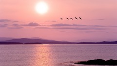 Sunset Islands Washington