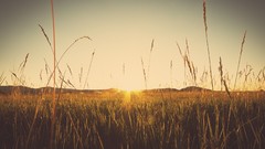 Sunset Jason Colorado