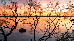 sunset Lake nature sweden landscape water Trees sky sunlight