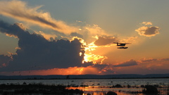 Sunset Lake plane nature