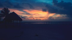 Sunset Landscapes Beaches