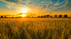 Sunset Landscapes fields