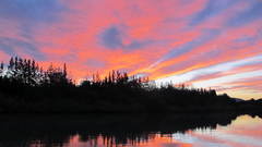 Sunset Landscapes forest nature