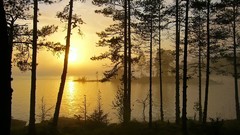 Sunset Landscapes forests