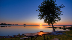 Sunset Landscapes horizon Trees