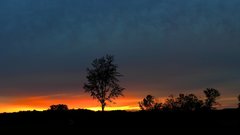 Sunset Landscapes nature