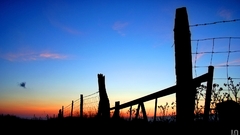 Sunset Landscapes nature