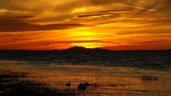 Sunset Landscapes nature