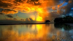 Sunset Landscapes nature Beaches