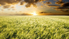 Sunset Landscapes nature fields