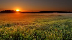 Sunset Landscapes nature fields