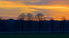 Sunset Landscapes nature forests