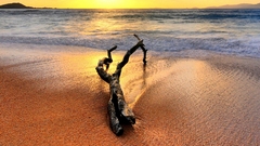 Sunset Landscapes nature Sea