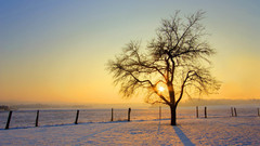 Sunset Landscapes nature snow