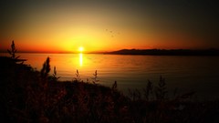 Sunset Landscapes nature summer