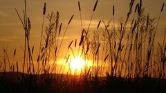 Sunset Landscapes nature sun