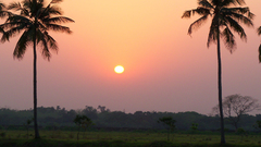 Sunset Landscapes nature sun